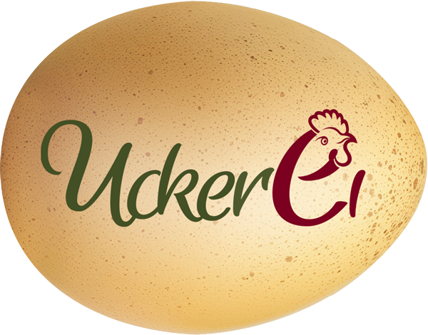 UckerEi - Frische Eier aus der Uckermark